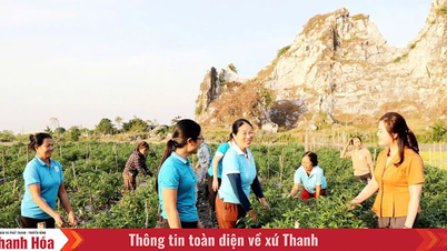 ສ້າງ​ກາລະ​ໂອກາດ ​ແລະ ຊຸກຍູ້​ຄວາມ​ຕ້ອງການ​ຂອງ​ສະຫະກອນ​ທີ່​ຄຸ້ມ​ຄອງ​ໂດຍ​ແມ່ຍິງ​ໃຫ້​ພັດທະນາ