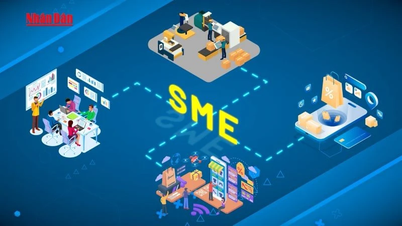 Содействие развитию малого и среднего бизнеса, связанного с экологически чистым развитием сельского хозяйства: новая движущая сила экономики Ханоя