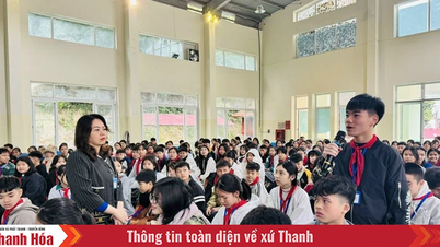 Усилия по созданию школьной среды, свободной от курения