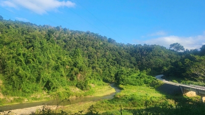 ການບໍລິການສິ່ງແວດລ້ອມປ່າໄມ້ 'fulcrum' ສໍາລັບ Muong Nha