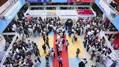 Zusammenfassung der Presseinformationen zu Ho-Chi-Minh-Stadt vom 8. Dezember 2025