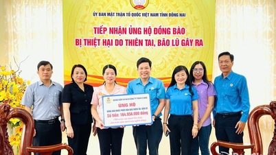 ডং নাইয়ের শ্রমিকদের হৃদয় বন্যার্তদের দিকে ঝুঁকেছে