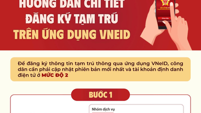 Інструкція щодо онлайн-реєстрації тимчасового проживання на VNeID, щоб уникнути штрафів з 15 грудня