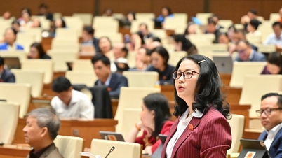 National Assembly Delegate Nguyen Thi Lan (Hanoi) Removing the core "bottlenecks" of the Capital
