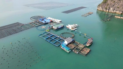 ກວາງ​ນິງ ​ໄດ້​ຮັບ​ຮູ້​ຄວາມ​ມຸ່ງ​ມາດ​ປາດ​ຖະໜາ​ຢາກ​ກາຍ​ເປັນ​ສູນ​ເສດຖະກິດ​ທາງ​ທະ​ເລ​ທີ່​ທັນ​ສະ​ໄໝ