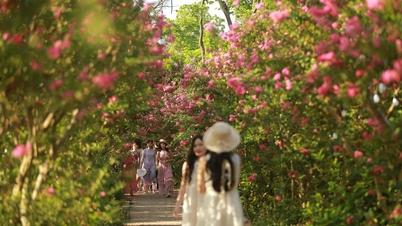 Hanoi botaniske hage: Nylig anerkjent attraktivt grønt turistmål