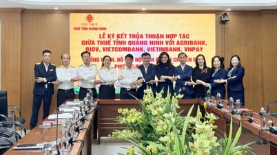 وقعت هيئة الضرائب في كوانج نينه اتفاقية تعاون لدعم أصحاب الأعمال في تحويل أساليب حساب الضرائب.