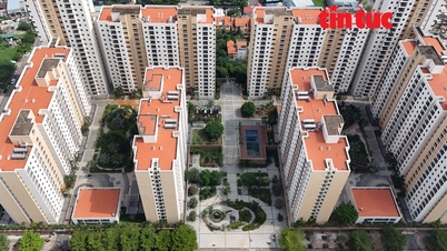 परित्यक्त आवास परियोजनाओं के लिए समाधान ढूँढना - भाग 1: रहने के लिए जगह ढूँढने के लिए संघर्ष कर रहे युवा कर्मचारी