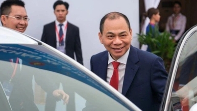 Vingroup spends 28 million USD to establish a company in Congo, carrying out a 6,300ha project