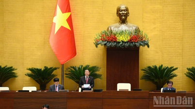 A Assembleia Nacional considera complementar a previsão orçamentária do Estado para despesas regulares com recursos de ajuda externa em 2025.