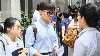 ارتفاع أعداد طلاب القانون العاملين في القطاع الخاص