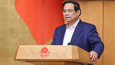 Urgently submit documents implementing Conclusion 206-KL/TW on wages and allowances