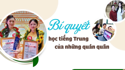 The Champions' Secrets to Learning Chinese