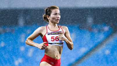 Обзор медального зачёта Игр Юго-Восточной Азии: Вьетнам лидирует