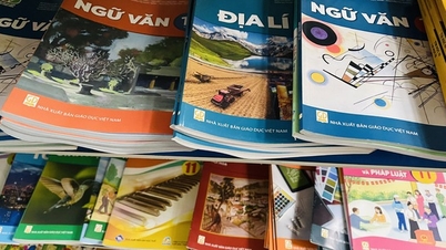 Quais os critérios para escolher um conjunto de livros didáticos?