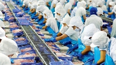 Les exportations de produits de la mer pourraient établir un record historique