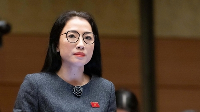 ສະໜັບສະໜູນ​ກອບ​ກົດໝາຍ​ທີ່​ແຕກ​ຕ່າງ​ກັນ​ຂອງ​ນະຄອນ​ໂຮ່ຈິ​ມິນ, ບັນດາ​ຜູ້​ແທນ​ກ່າວ​ວ່າ, ຕ້ອງ​ສ້າງ​ກົນ​ໄກ​ດຶງ​ດູດ​ນັກ​ລົງທຶນ.