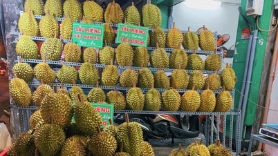 Durianprijs vandaag 8 december 2025: Transacties blijven rustig