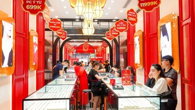 Bao Tin Manh Hai launches the Little Golden Lucky Gold, a symbol of accumulated value.