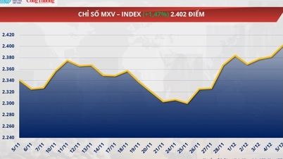 Soya fasulyesi fiyatları bir ayın en düşük seviyesine geriledi