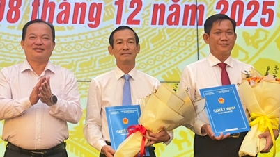 Ο Can Tho διορίζει και αναθέτει αποφάσεις σε πολλά βασικά στελέχη