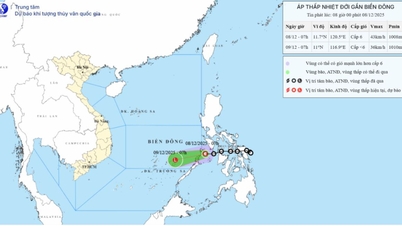 Os ventos fortes e as grandes ondas no mar de Vinh Long continuarão até 9 de dezembro.