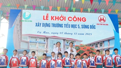 কা মাউ এবং নিন বিন একটি ব্যাপক, স্থিতিশীল এবং টেকসই সহযোগিতা চুক্তি স্বাক্ষর করেছেন।