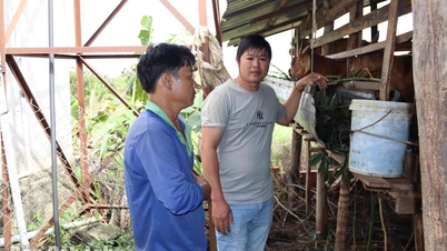 Os "mensageiros especiais" em Ea M'Droh