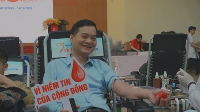 EVNGENCO1 11ویں EVN پنک ویک کا جواب دیتا ہے۔