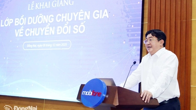 디지털 전환 전문가 교육 과정 개설