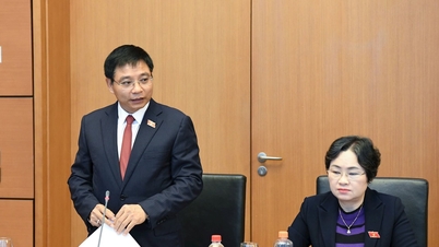 تعديل قانون ضريبة القيمة المضافة: ضمان تقليل أوجه القصور والمخاطر في التنفيذ