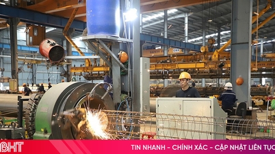 وارڈ اور کمیون بزنس ایسوسی ایشنز - ایک مربوط ماحول پیدا کرنا، پیداوار اور کاروبار کو فروغ دینا