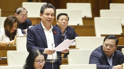 Kota Ho Chi Minh membutuhkan kerangka kelembagaan yang berbeda dan terbuka