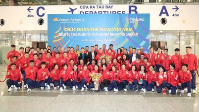 الإرادة والرغبة المستمرة في الفوز