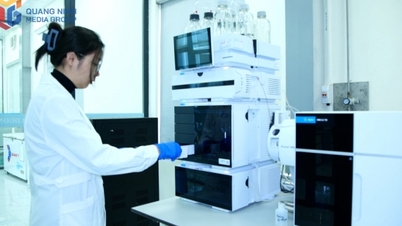 Evaluarea calității produselor agricole chiar la punctul de frontieră Bac Luan II