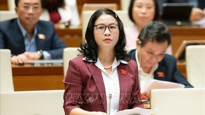 Criar um arcabouço legal superior para ajudar as cidades de Ho Chi Minh e Da Nang a se desenvolverem rapidamente.