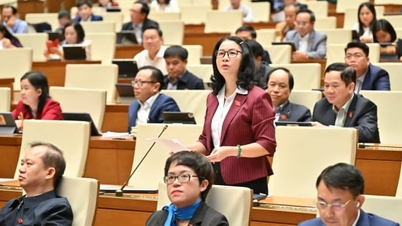 Résolution spéciale pour la capitale : Le bon moment, les bonnes exigences de développement