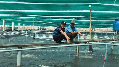 GrowMax-Generaldirektor: „Bei der Garnelenzucht geht es nicht nur um den Lebensunterhalt, sondern auch um Zukunftsperspektiven.“