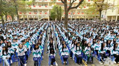Fortalecimiento de la propaganda para prevenir y combatir los delitos y los males sociales en las escuelas
