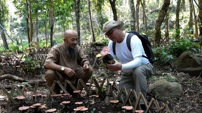 Gentlemen finden Freude unter jedem Blätterdach des Waldes