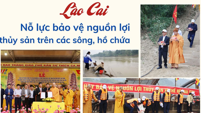 Lao Cai se empenha em proteger os recursos hídricos em rios e reservatórios.