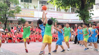 ¿Cuáles serán las normas de admisión para las escuelas primarias en la ciudad de Ho Chi Minh con 168 distritos, comunas y zonas especiales?
