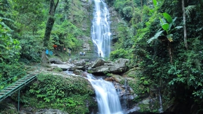 विशेष उपयोग वाले वन और सुरक्षात्मक वन व्यापक विकास को बढ़ावा देते हैं