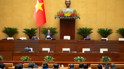 El Gobierno propuso aprobar el estudio de viabilidad de la fase 2 del aeropuerto de Long Thanh.