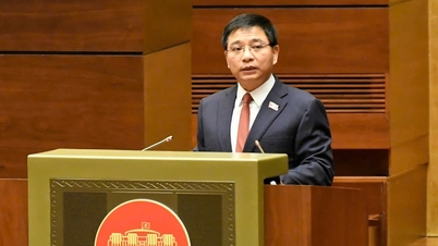 No crear nuevos problemas a los contribuyentes al modificar la Ley del IVA