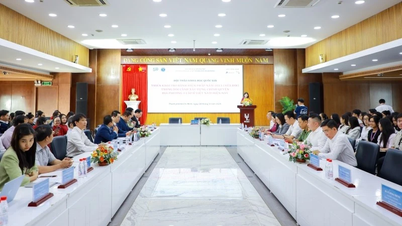 การนำรัฐธรรมนูญ พ.ศ. 2556 (แก้ไขเพิ่มเติม) มาใช้ในบริบทการสร้างองค์กรปกครองส่วนท้องถิ่นสองระดับ