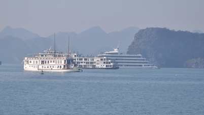 Quang Ninh tourism breaks through, surpassing 21 million visitors