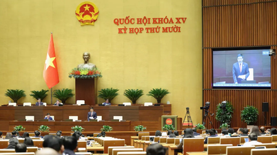 বিনিয়োগ এবং উন্নয়নের জন্য সামাজিক সম্পদ একত্রিত করার জন্য নির্দিষ্ট ব্যবস্থা যথেষ্ট শক্তিশালী হতে হবে।