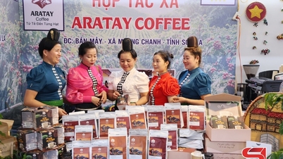 Kekuatan pendorong bagi industri pedesaan