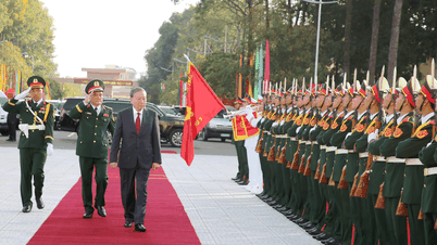 Solemnly celebrate the 80th anniversary of the tradition of the Armed Forces of Military Region 9